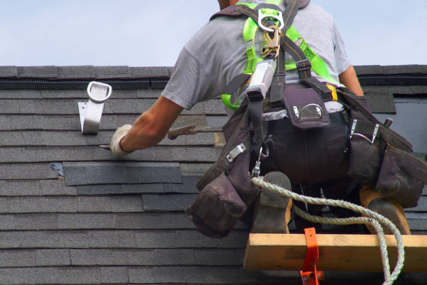 Best Roof Insulation Installation  in Trinity, TX