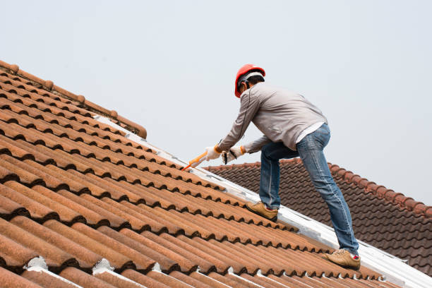 Best Cold Roofs  in Trinity, TX