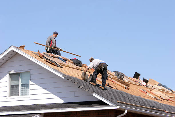 Best Roof Ventilation Installation  in Trinity, TX